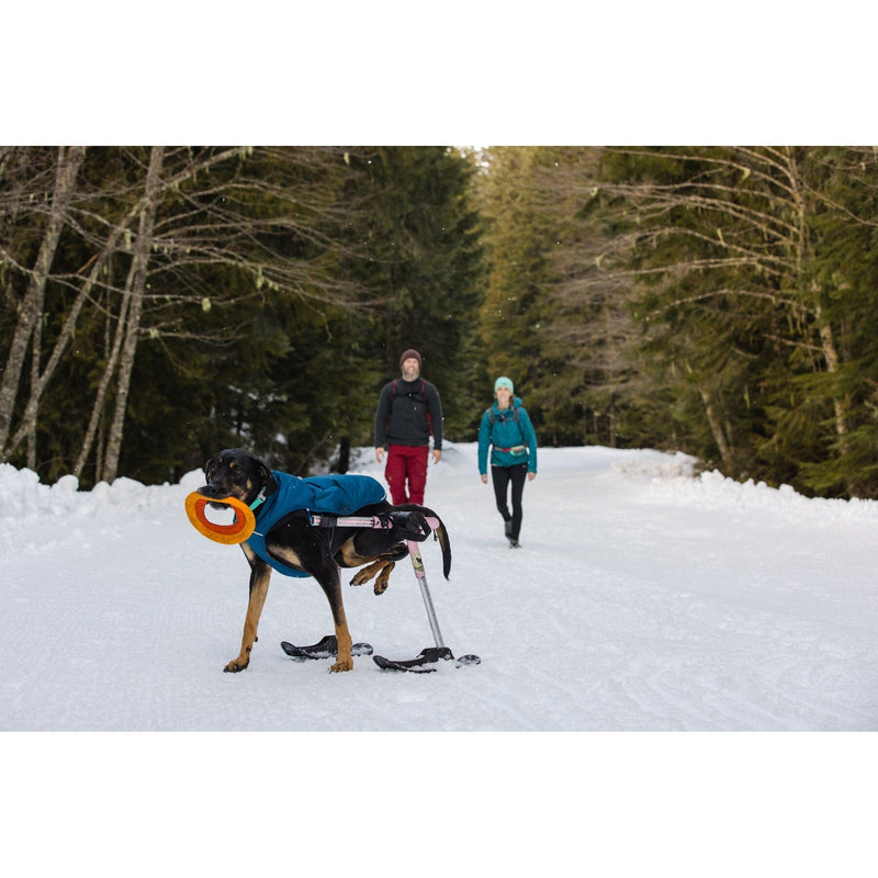 Load image into Gallery viewer, Ruffwear Quinzee™ Dog Jacket
