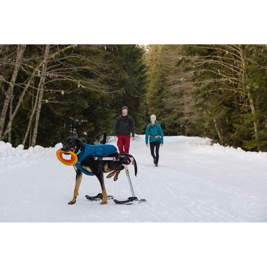 Ruffwear Quinzee™ Dog Jacket