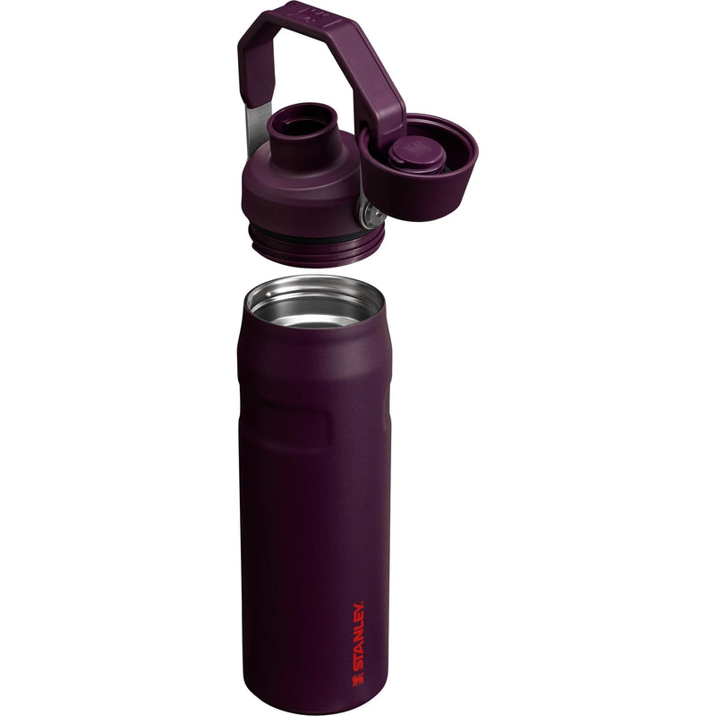 Load image into Gallery viewer, Stanley 24 oz. The IceFlow Fast Flow Bottle
