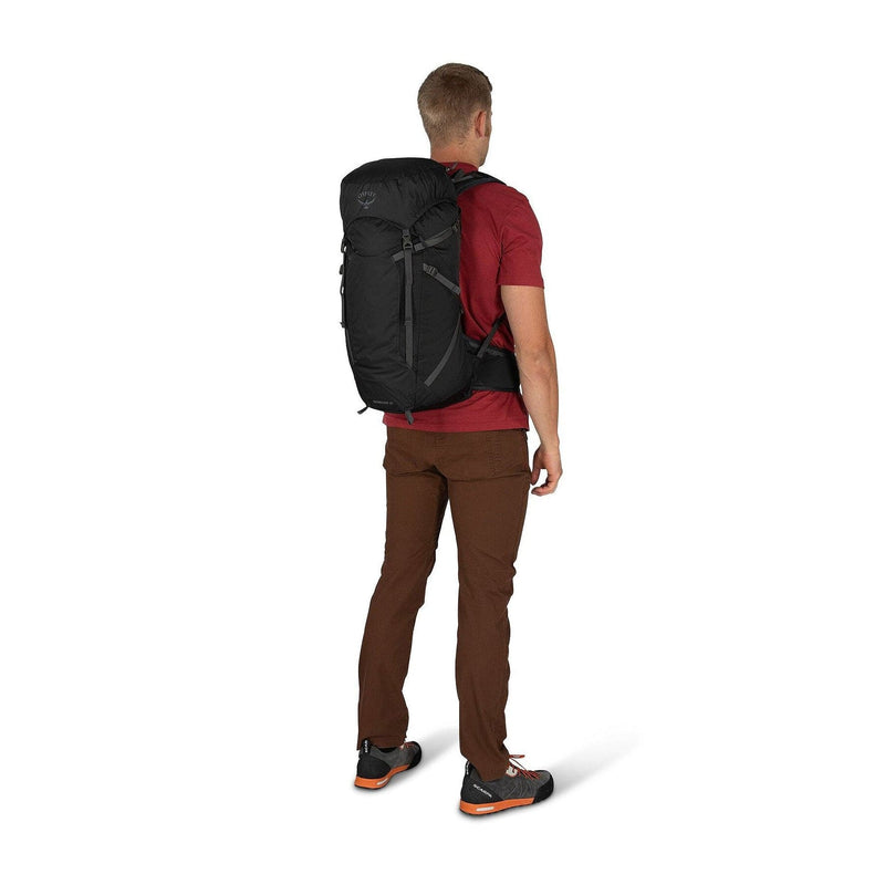 Load image into Gallery viewer, Osprey Sportlite 30 Backpack
