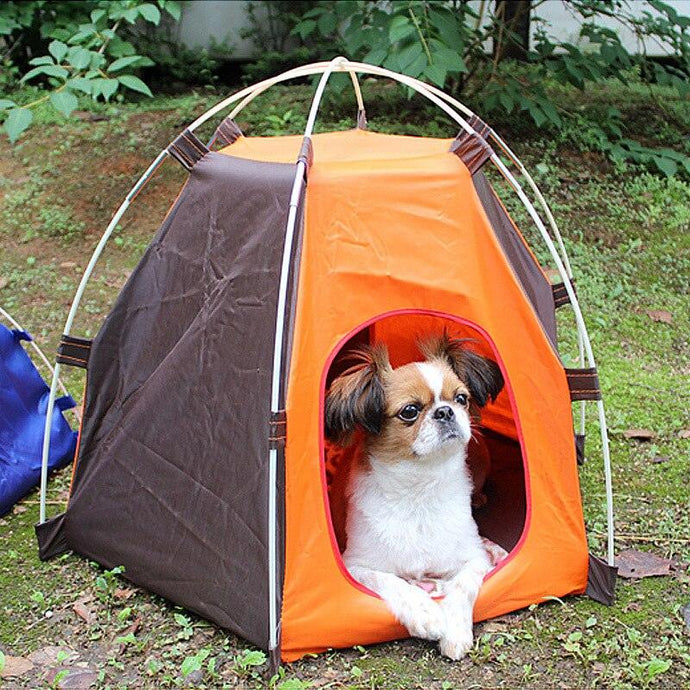 Cozy Haven: Portable Pet Tent For Indoor And Outdoor Adventures by Dog Hugs Cat