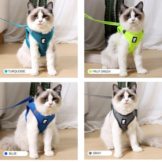 The Wanderlust Cat Adventure Harness by Dog Hugs Cat