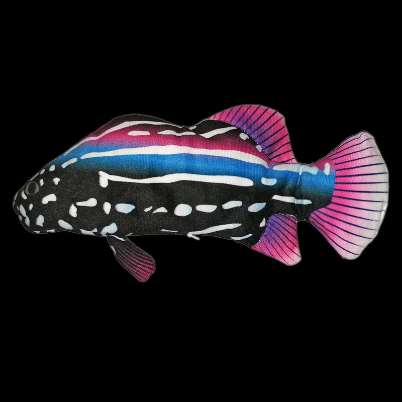 Load image into Gallery viewer, Electric Fish Funpal - Interactive Toy For Cats by Dog Hugs Cat
