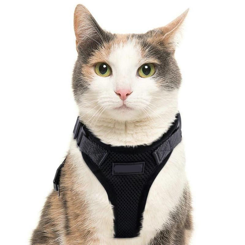 Load image into Gallery viewer, Purrfectprowl - Stylish Cat Walking Harness by Dog Hugs Cat
