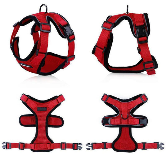 Purrfectprowl - Stylish Cat Walking Harness by Dog Hugs Cat