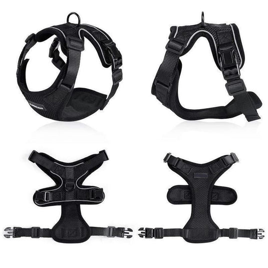 Purrfectprowl - Stylish Cat Walking Harness by Dog Hugs Cat