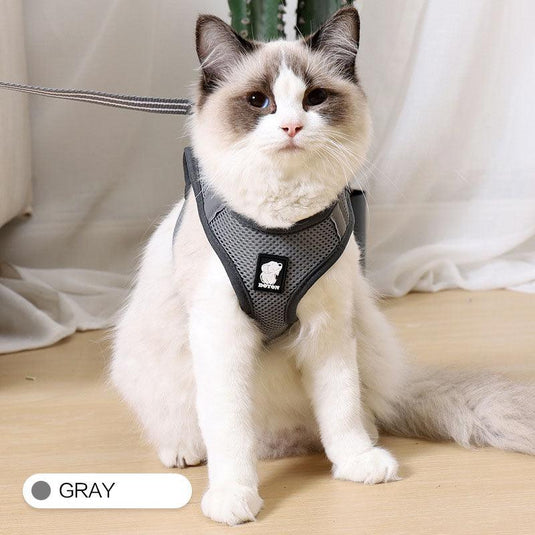 The Wanderlust Cat Adventure Harness by Dog Hugs Cat