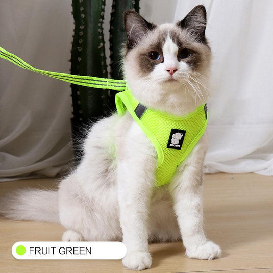 The Wanderlust Cat Adventure Harness by Dog Hugs Cat