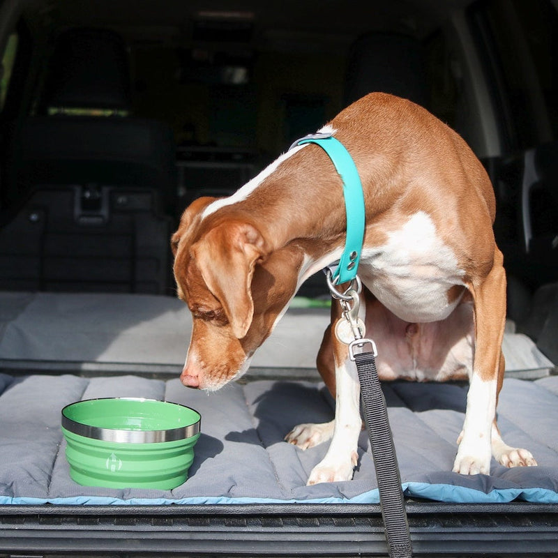 Load image into Gallery viewer, Collapsible Bowl by HYDAWAY
