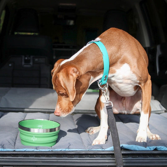 Collapsible Bowl by HYDAWAY