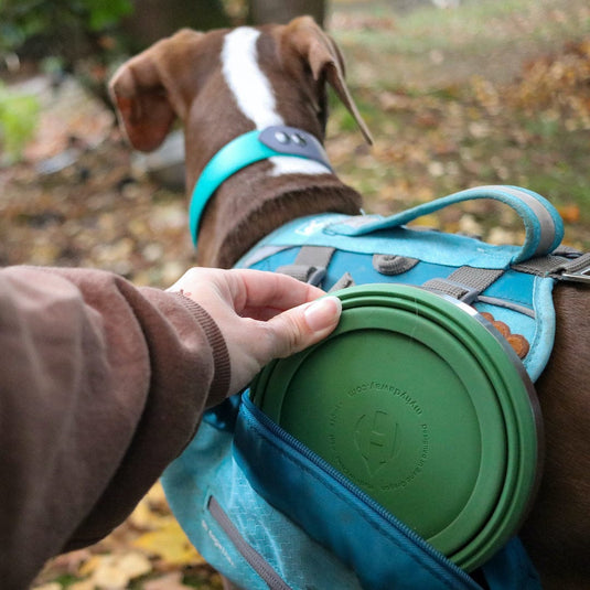 Collapsible Bowl by HYDAWAY