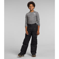 The North Face Boys' Freedom Insulated Pant