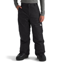 The North Face Boys' Freedom Insulated Pant