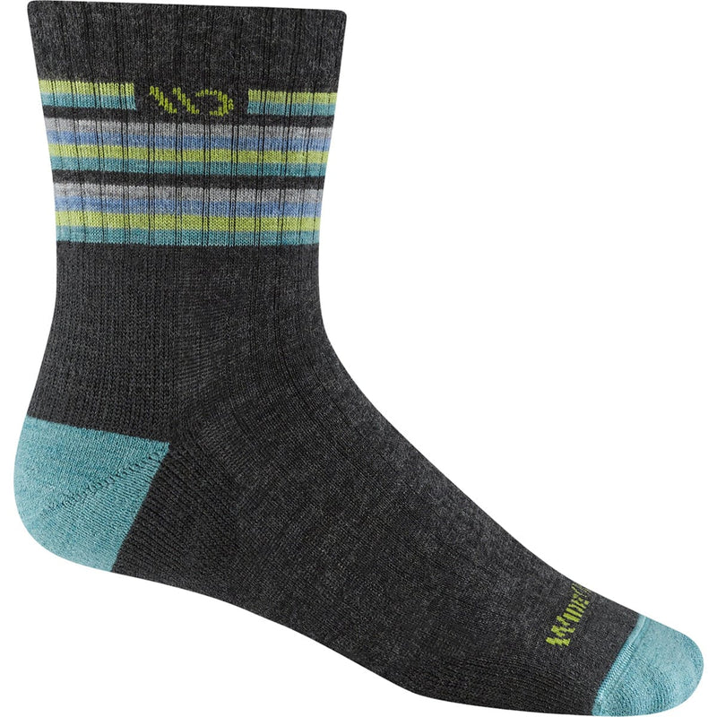 Load image into Gallery viewer, Wide Open by Darn Tough Women&#39;s Multi Stripe Midweight Micro Crew Sock
