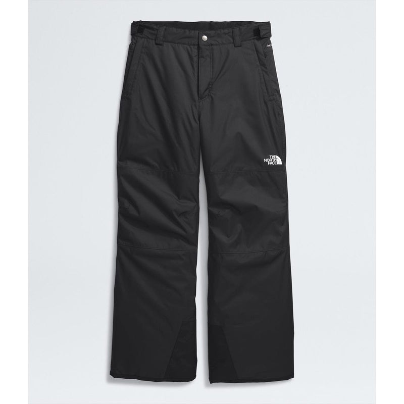 Load image into Gallery viewer, The North Face Boys&#39; Freedom Insulated Pant
