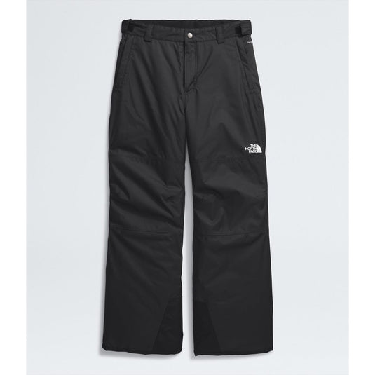 The North Face Boys' Freedom Insulated Pant