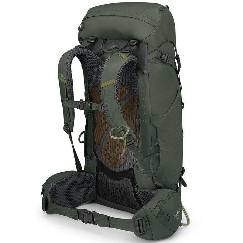 Load image into Gallery viewer, Osprey Kestrel 38 Men&#39;s Pack
