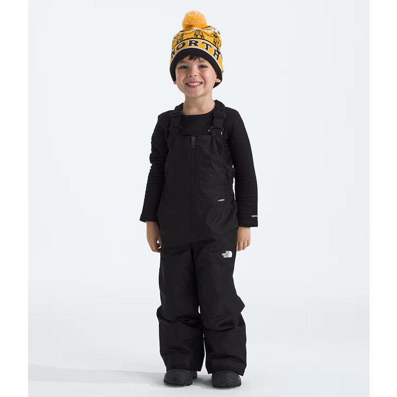 Load image into Gallery viewer, The North Face Kids&#39; Freedom Insulated Bib
