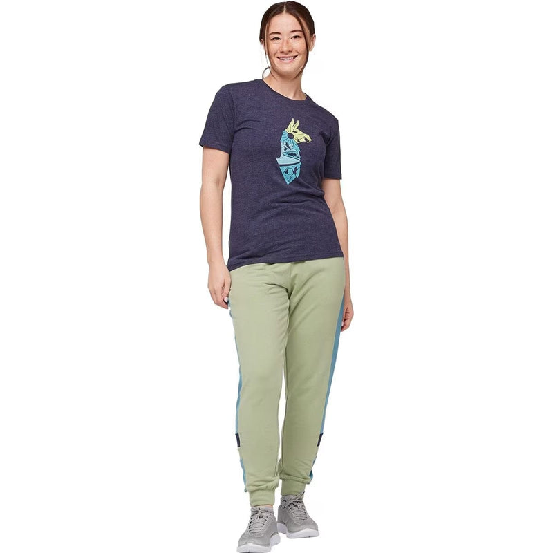 Load image into Gallery viewer, Cotopaxi Women&#39;s Bandera Jogger
