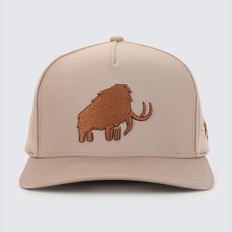 Load image into Gallery viewer, Waggle Mammoth Snapback Hat
