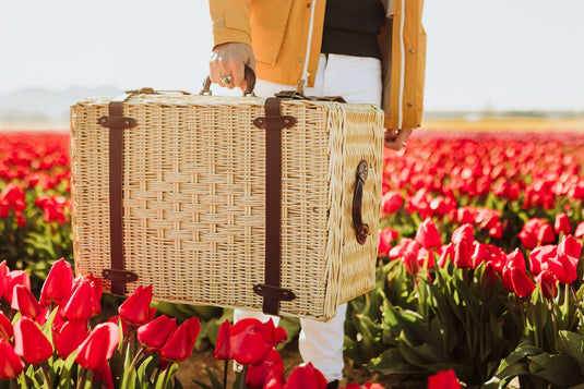 Charleston Picnic Basket by Picnic Time Family of Brands