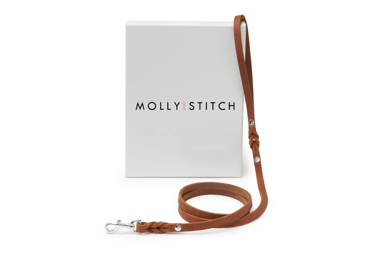 Load image into Gallery viewer, Butter Leather City Dog Leash - Sahara Cognac by Molly And Stitch US
