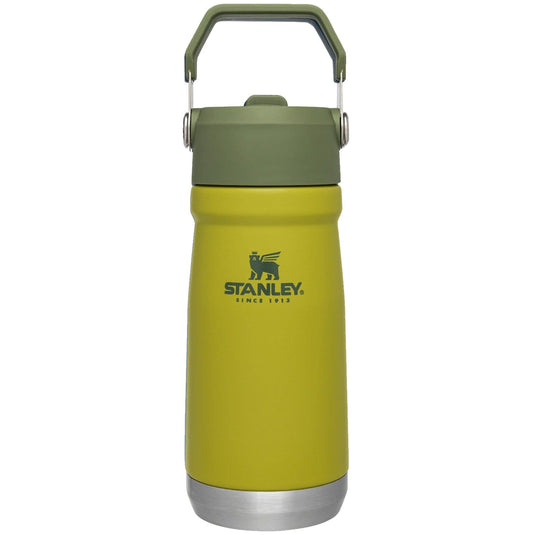 Stanley Flip Straw Water Bottle 17 oz