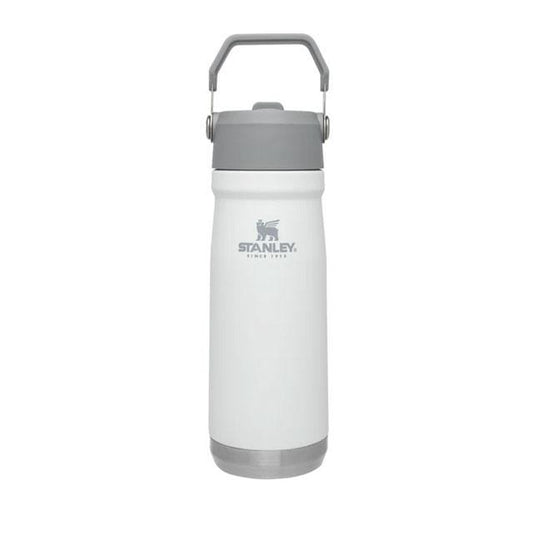 Stanley The IceFlow Flip Straw 22oz. Water Bottle