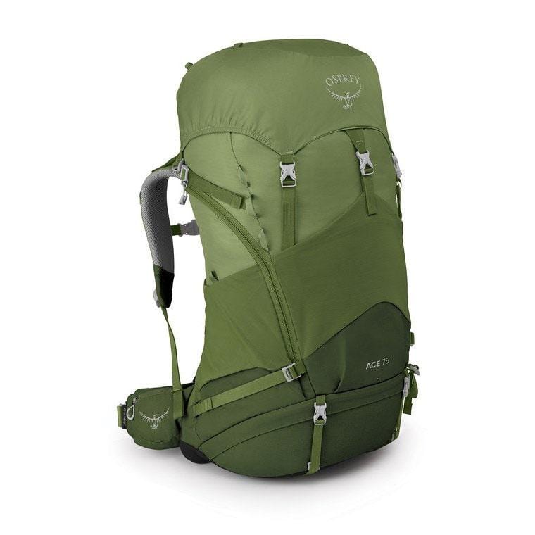 Load image into Gallery viewer, Osprey Ace 75 Kid&#39;s Pack
