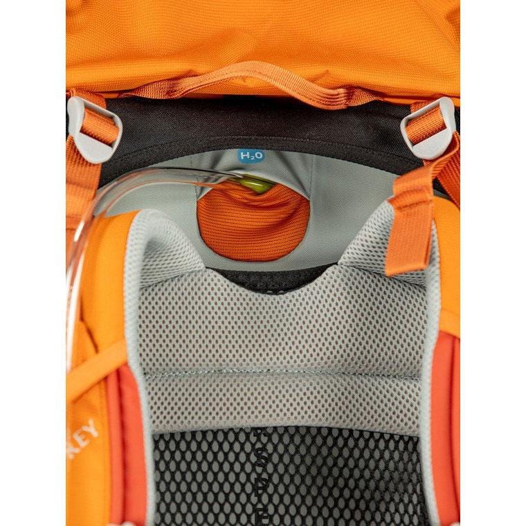 Load image into Gallery viewer, Osprey Ace 50 Kids&#39; Backpacking For 8-14 Years Old
