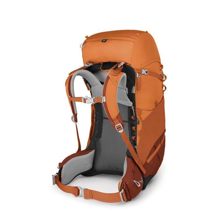 Load image into Gallery viewer, Osprey Ace 50 Kids&#39; Backpacking For 8-14 Years Old
