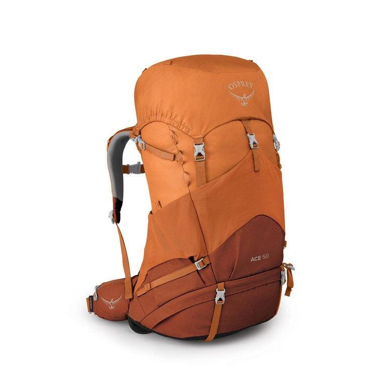 Load image into Gallery viewer, Osprey Ace 50 Kids&#39; Backpacking For 8-14 Years Old
