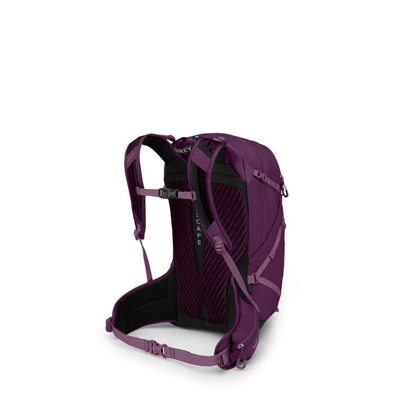 Load image into Gallery viewer, Osprey Sportlite 25 Backpack
