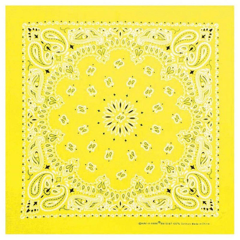 Load image into Gallery viewer, Neon Paisley Bandanas
