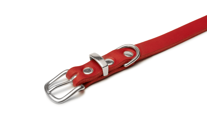 Load image into Gallery viewer, Butter Leather Dog Collar - Chili Red by Molly And Stitch US
