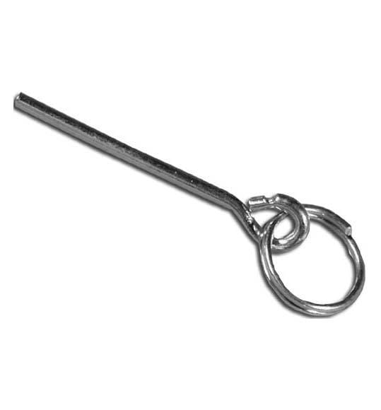 Eureka Tent Pin and Ring -  Long