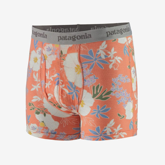 Patagonia Mens Essential Boxer Briefs - 3