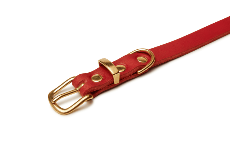 Load image into Gallery viewer, Butter Leather Dog Collar - Chili Red by Molly And Stitch US
