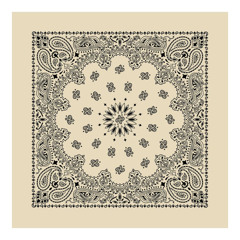 Load image into Gallery viewer, Cotton Bandanas
