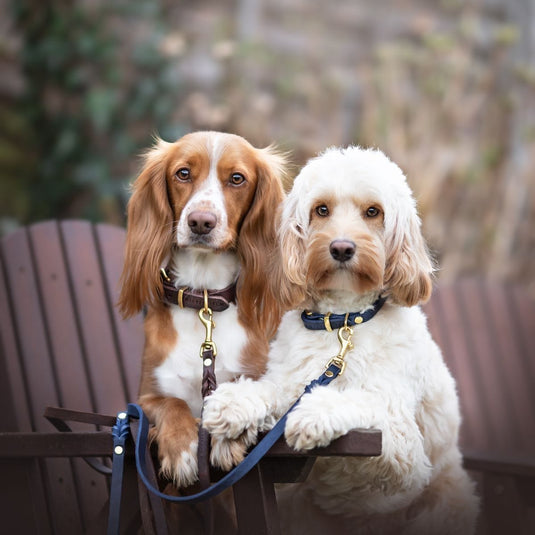 Butter Leather Dog Collar - Navy Blue by Molly And Stitch US