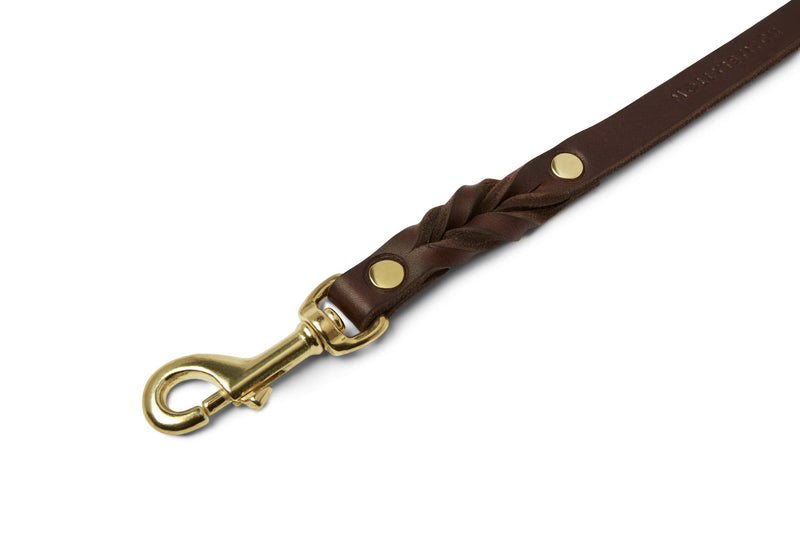 Load image into Gallery viewer, Butter Leather City Dog Leash - Classic Brown by Molly And Stitch US
