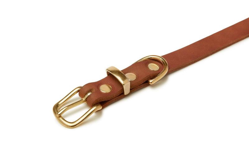 Load image into Gallery viewer, Butter Leather Dog Collar - Sahara Cognac by Molly And Stitch US
