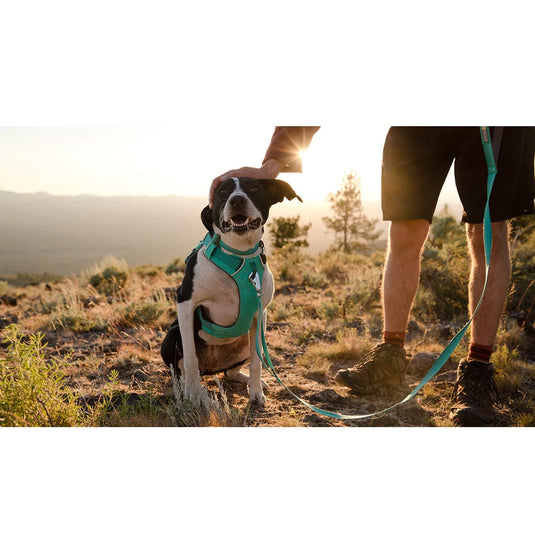 Ruffwear Front Range Harness