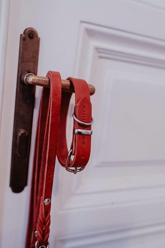 Butter Leather Dog Collar - Chili Red by Molly And Stitch US