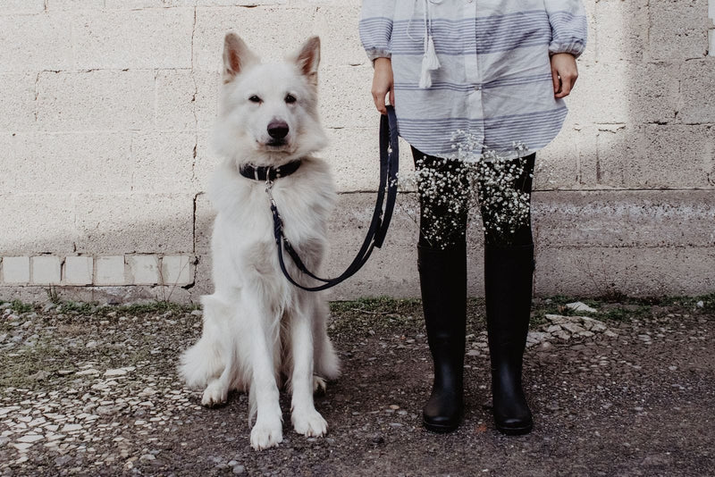 Load image into Gallery viewer, Butter Leather 3x Adjustable Dog Leash - Navy Blue by Molly And Stitch US
