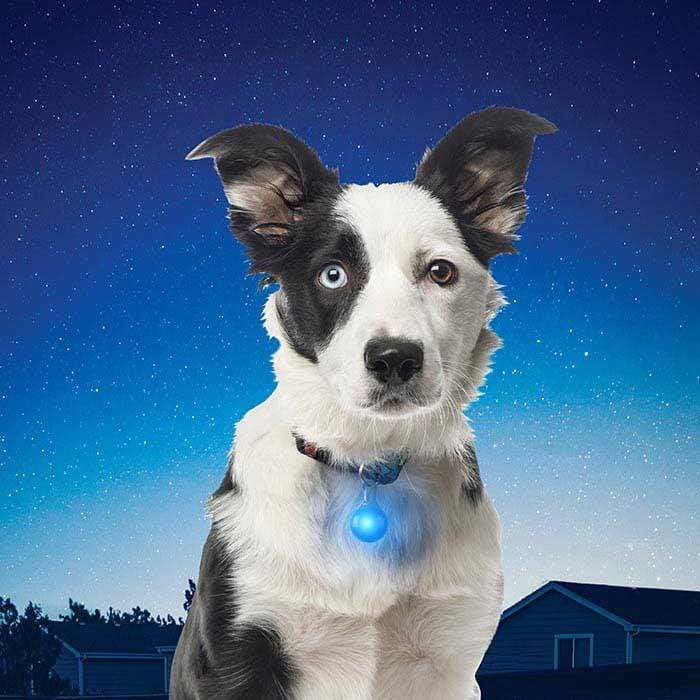 Load image into Gallery viewer, Nite Ize SpotLit Plastic Collar Light
