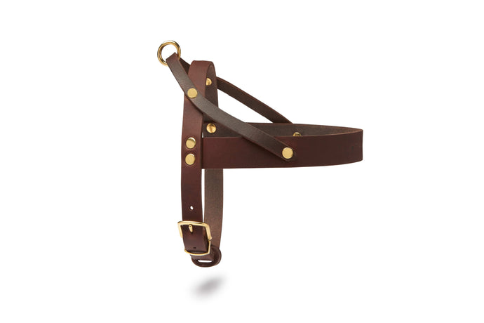 Butter Leather Dog Harness - Classic Brown by Molly And Stitch US