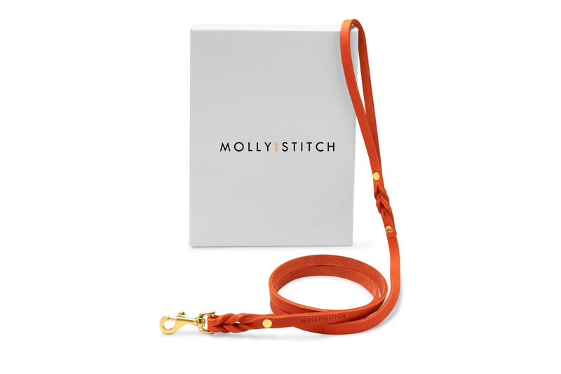 Load image into Gallery viewer, Butter Leather City Dog Leash - Mango by Molly And Stitch US
