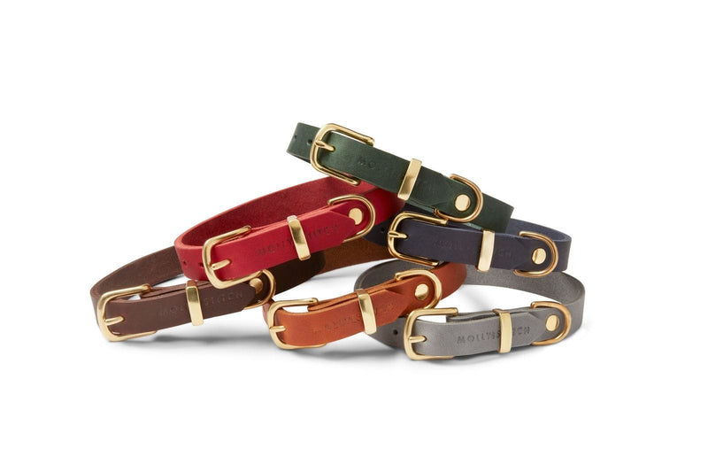 Load image into Gallery viewer, Butter Leather Dog Collar - Sahara Cognac by Molly And Stitch US
