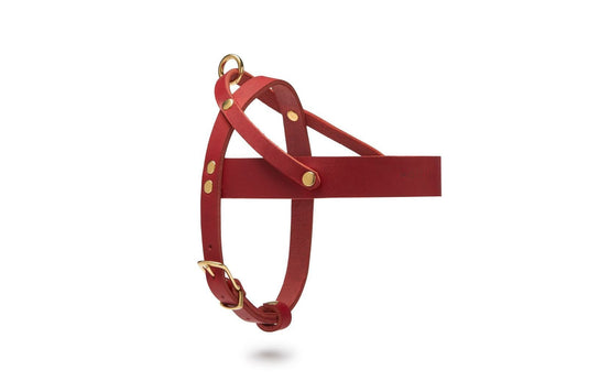 Butter Leather Dog Harness - Chili Red by Molly And Stitch US